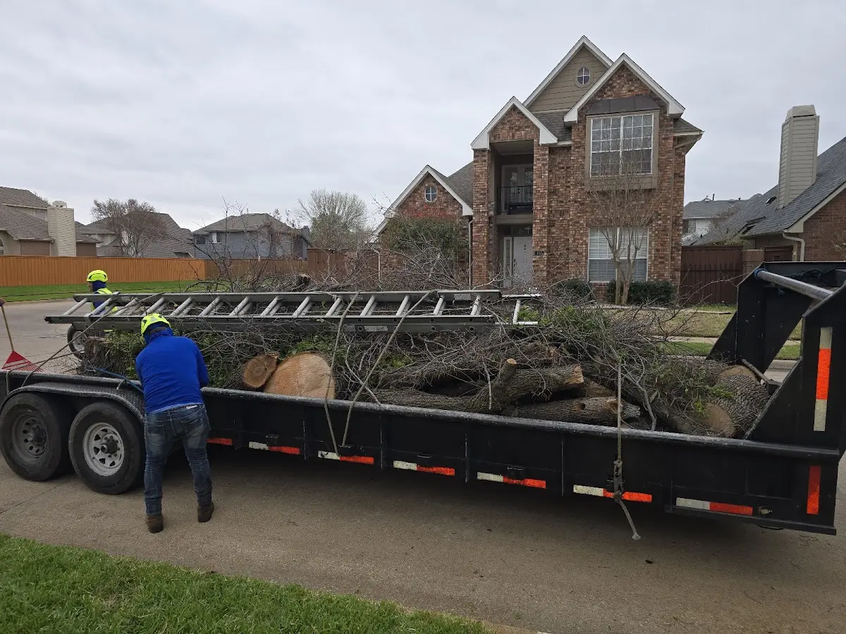 Expert Lot Clearing with proper safety equipment in Cando